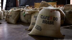 Trump retira aranceles a carne de res, tomate, banano y café – DW – 15/11/2025
