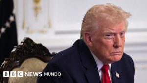 Trump y su gobierno anuncian que se paralizará la migración a EE.UU. desde países del «tercer mundo» y se revisarán las green cards de 19 nacionalidades