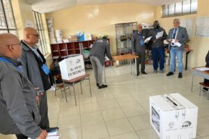 Veedores internacionales ratifican democracia participativa en Consulta Popular