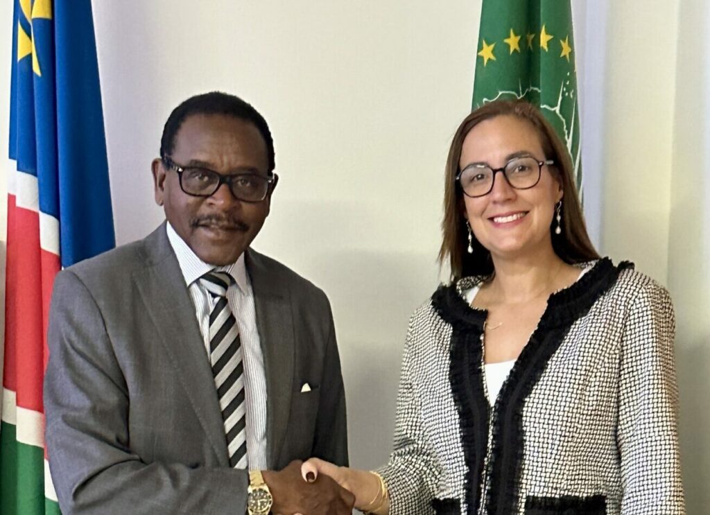 Venezuela y Namibia fortalecen lazos binacionales de cooperación