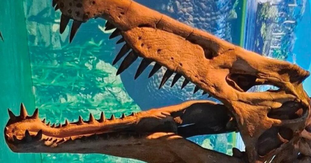 de los gigantes herbívoros a las aves modernas