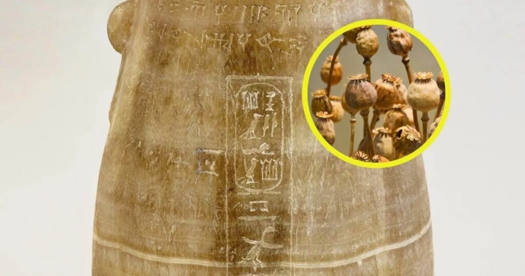 el hallazgo que intriga a los arqueólogos