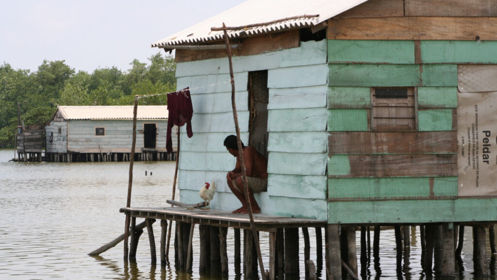la noche que la Ciénaga Grande de Santa Marta quedó en silencio