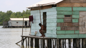 la noche que la Ciénaga Grande de Santa Marta quedó en silencio