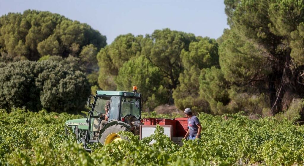 los agricultores europeos dicen que la propuesta de Bruselas para el sector es una "cortina de humo"
