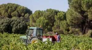 los agricultores europeos dicen que la propuesta de Bruselas para el sector es una «cortina de humo»