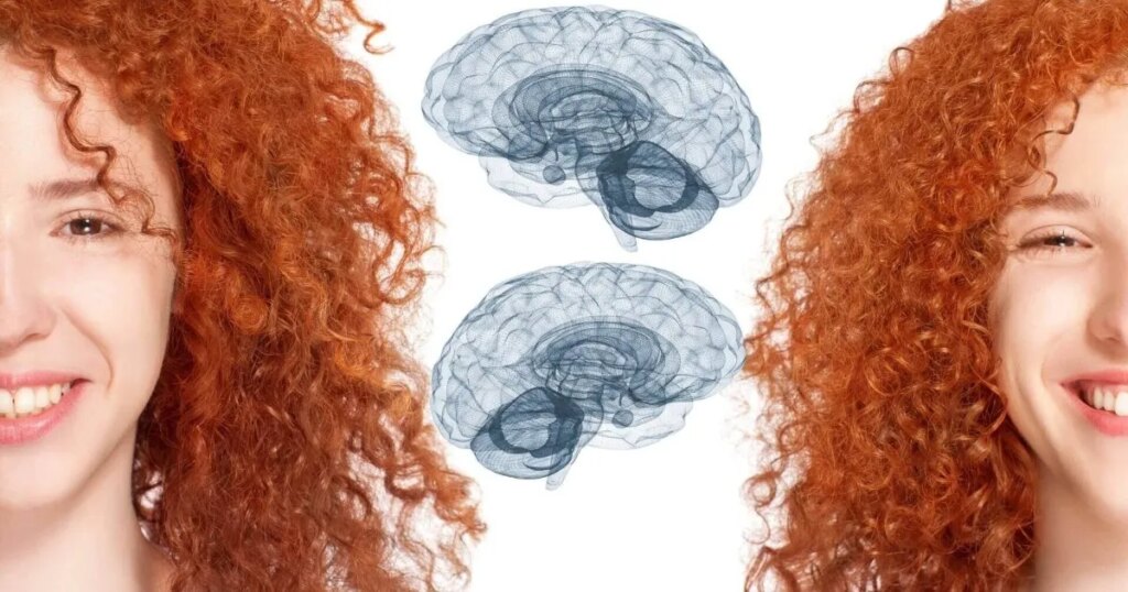 los gemelos idénticos pueden tener diferencias significativas en el coeficiente intelectual