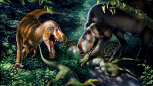 un nuevo estudio confirma que se trataba de otra especie, el Nanotyrannus