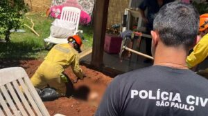 ¡De espanto! Profesora de 62 años mató a su novio de 21 con una tijera y lo enterró en el patio de su casa