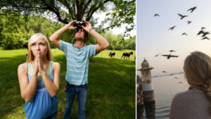 ¿Qué es la ‘teoría del pájaro’, la prueba de ‘amor’ de TikTok que cada vez más parejas aplican en su relación?