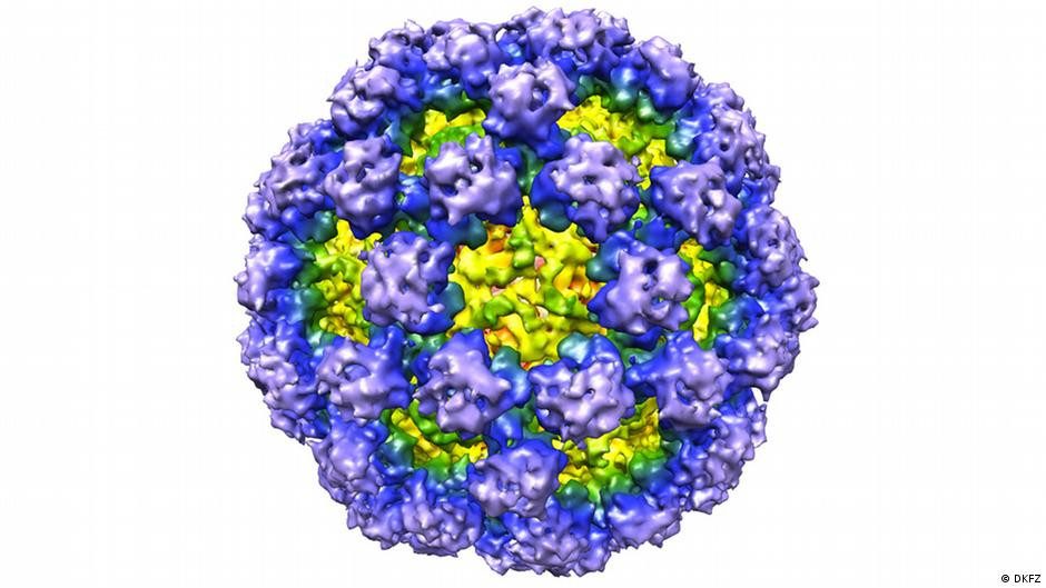 6 dudas esenciales sobre los norovirus, y sus respuestas – DW – 28/12/2025