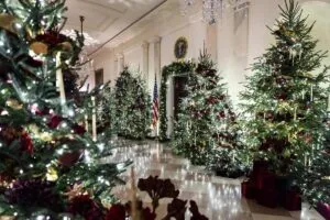 75 coronas, 51 árboles, 200 metros de guirnaldas y 2.000 tiras de luces | elperiodico.com