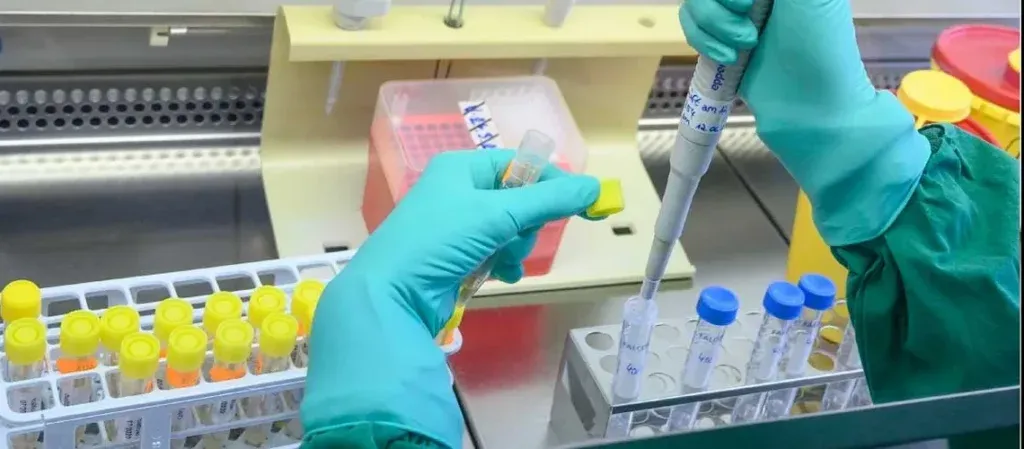 Agencia médica de EE.UU. reducirá pruebas científicas en monos - AlbertoNews