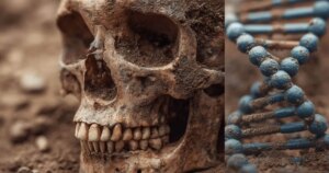 Así es cómo el sarro dental se ha convertido en una fuente de primer orden para reconstruir la historia de las poblaciones antiguas