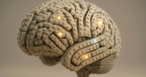 Así logra el cerebro aprender cosas nuevas sin borrar lo que ya sabe, según la neurociencia
