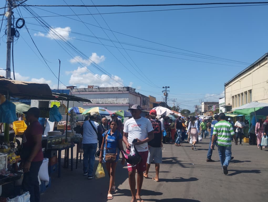 Bolivarenses se preparan para la tradición de las hallacas