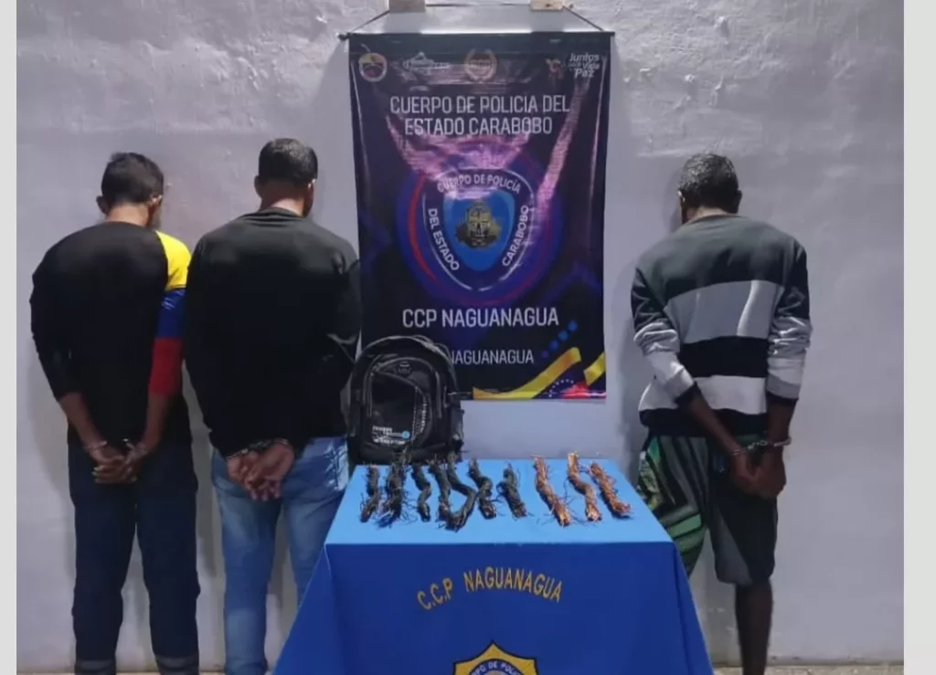 Capturados tres sujetos por hurto de material estratégico