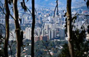 Caracas, Lechería, Valencia y Barquisimeto lideran el repunte del valor inmobiliario