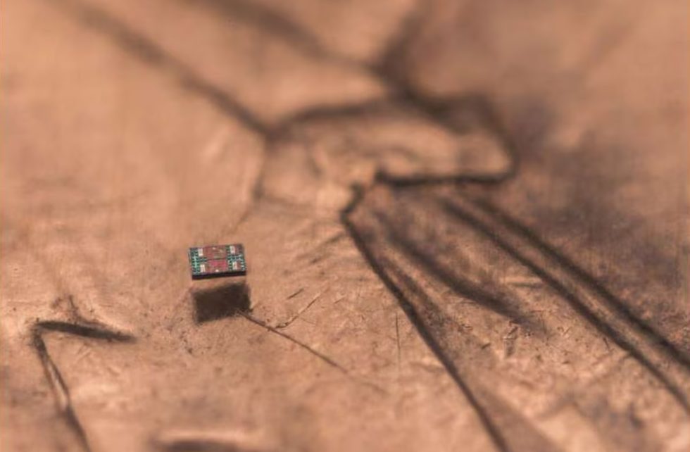 Científicos crean robots más pequeños que un grano de sal para cumplir estas tareas