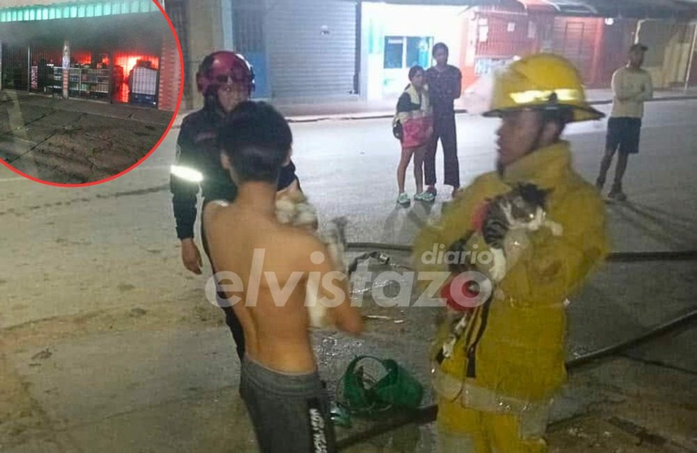 Cinco personas y cuatro mascotas rescatadas de incendio en un abasto asiático ubicado en Barcelona