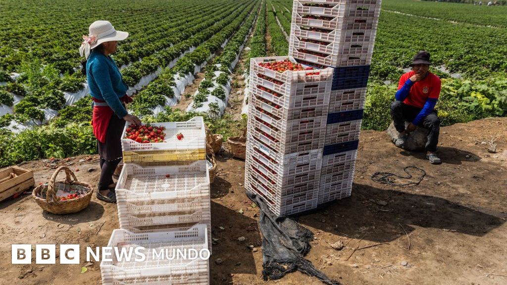 Cómo logró Perú convertir uno de los desiertos más áridos del mundo en un gran centro de producción de alimentos