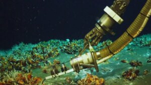 Descubren un ecosistema profundo donde agua hirviendo y metano helado conviven a centímetros. Es la biología más parecida a la que podrían ocultar las lunas heladas de Saturno