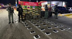 Desmantelan centro dedicado al tráfico de drogas en Táchira