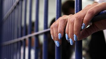 Detenidos tras intentar ingresar droga al CPO dentro de mazorcas – Diario La Nación