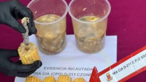 Detienen a dos personas por tratar de ingresar droga dentro de un jojoto – Diario El Luchador