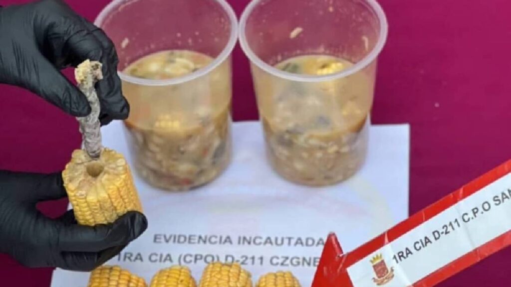 Detienen a dos personas por tratar de ingresar droga dentro de un jojoto – Diario El Luchador