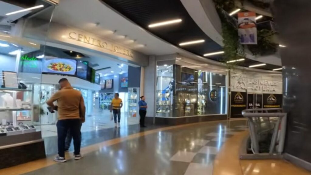 Ecoanalítica: en noviembre cayeron las ventas comerciales en Caracas y se frena el consumo en 2025