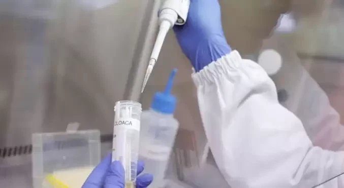 Ecuador confirma primer caso de la variante K de influenza A H3N2