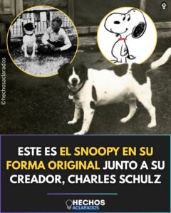 El famoso Snoopy – Diario del Sur