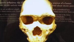 El fascinante cráneo que fue hallado en Grecia hace 300.000 años no era de un humano ni de un neandertal. Ahora sabemos a quién perteneció y la respuesta es fascinante