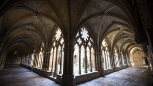 El rincón de Aragón donde se encuentra el origen de la Garnacha