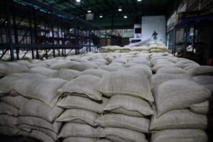 El sexto envío: Venezuela exportó 200 toneladas de cacao a Rusia