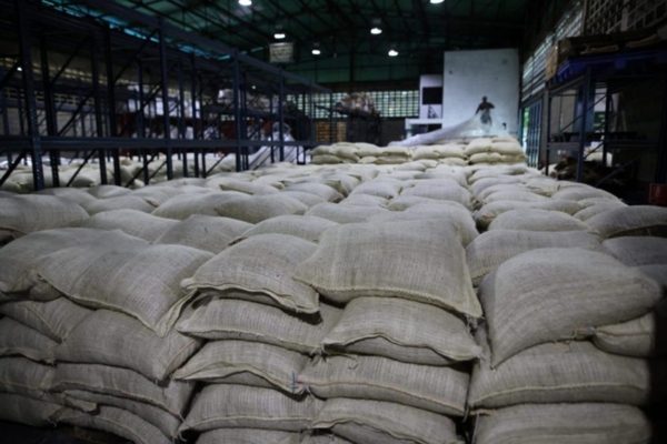 El sexto envío: Venezuela exportó 200 toneladas de cacao a Rusia