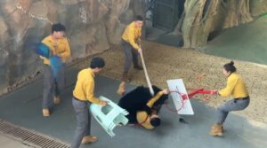 El terrible ataque de un oso a su cuidador que desató el pánico en un safari