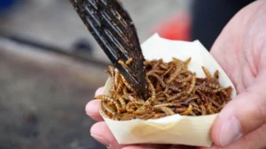 En este país los gusanos fritos son el «plato estrella» en Navidad