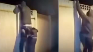 En video quedó registrado el momento en el que un perro frustró el robo de su casa