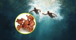 Esta sorprendente mina de cobre submarina hallada en Turquía parece confirmar el enigmático “cobre de los buzos” descrito por Aristóteles