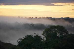 Estudio alerta que un nuevo clima ‘hipertropical’ etsá surgiendo en la Amazonía, ¿en qué consiste?