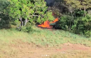 FANB destruye aeronave oculta en zona fronteriza con Colombia