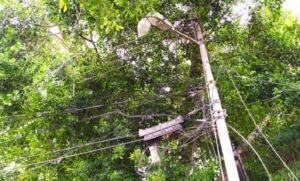 Fluctuación eléctrica afectó varios estados del país