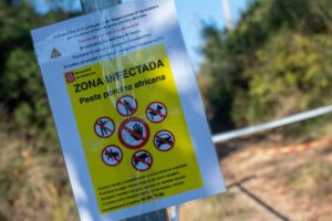 Hallan 50 jabalís muertos en la zona de Collserola (Barcelona) afectada por la peste porcina | europapress.es
