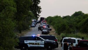 Hallan a 23 migrantes escondidos en la cabina de descanso de un camión en Texas – AlbertoNews