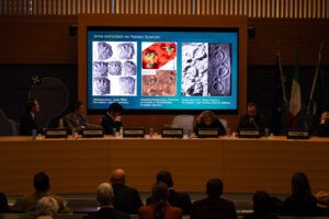 Hallan una inmensa colección de huellas de dinosaurio en Italia