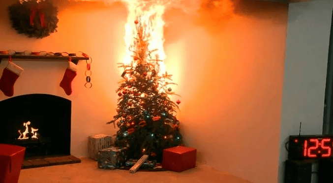 Hombre y su perro mueren tras incendio de arbolito de Navidad