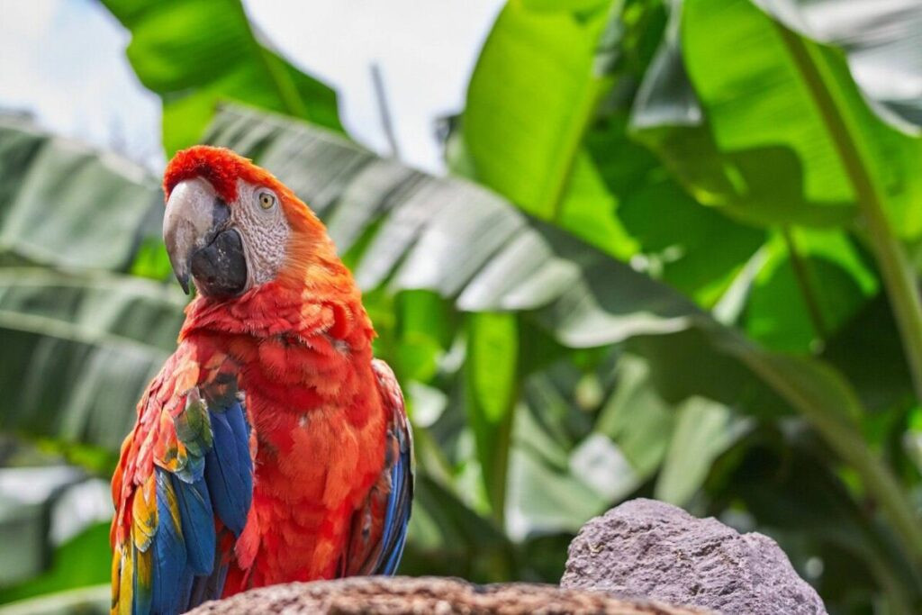 Inicia campaña formativa en protección de la fauna silvestre