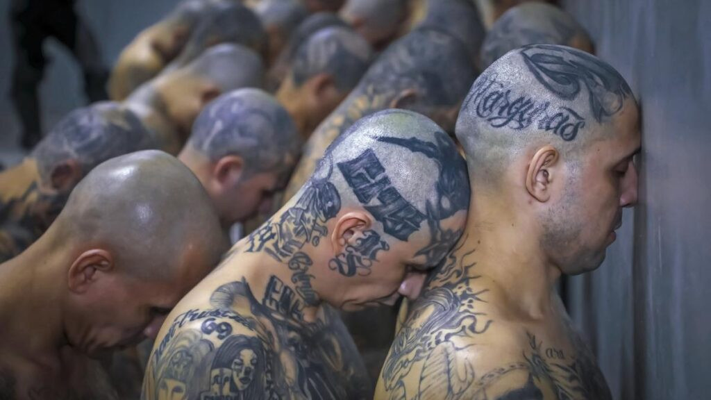 Justicia de El Salvador condenó a 248 pandilleros de la Mara Salvatrucha a penas de hasta 1.335 años de prisión - AlbertoNews